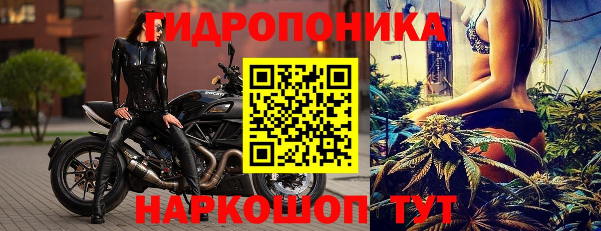 МАРИХУАНА SATIVA & INDICA  Каннабис сатива  МАРИХУАНА марихуана  Вход с VPN  Тихвин  МАРИХУАНА семена 